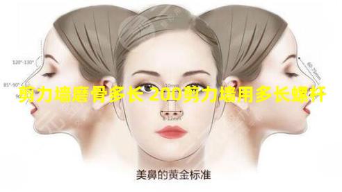 剪力墙磨骨多长 200剪力墙用多长螺杆